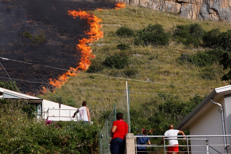 Four people, backs to the camera, watch a fire moving left to right. The left side is scorched, the right side is green, with an edge of flame between the two sides.