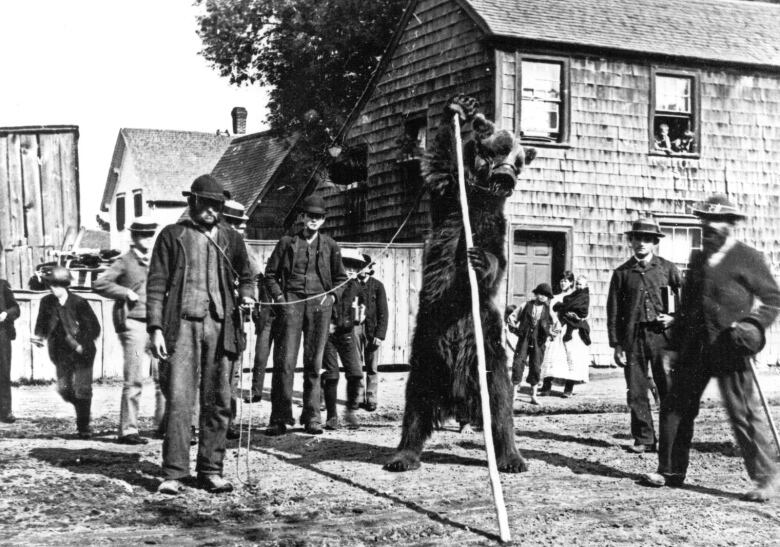 Black and white photo with about a dozen men in 19th century clothing standing in front of a large house. In the middle, stands a tall bear on his hind legs, holing a large staff. 