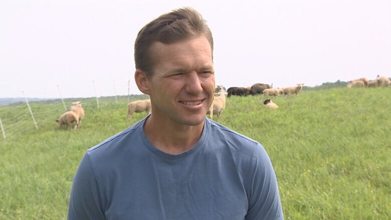 A man in a blue shirt standing in a field with sheep in the background.