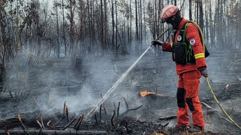 A firefighter with the Korea Forest Service extinguishes branches and roots that are smoking near Lebel-sur-Quvillon, in northern Quebec.