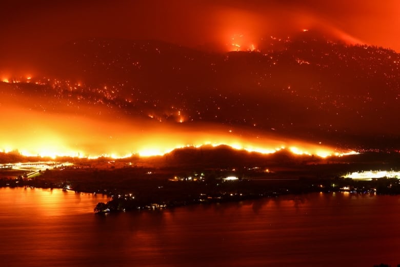 A large fire burns near a lake, creating a scenic effect with a red glow.