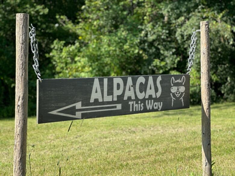 An appropriately themed welcome sign points visitors toward the alpaca-related fun at Stoneleigh Farm in Denfield, Ont.