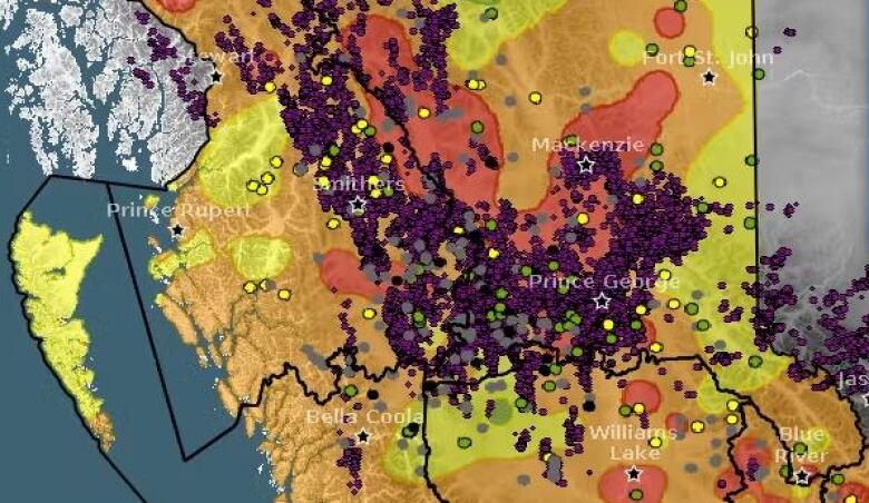 A map showing thousands of purple dots.