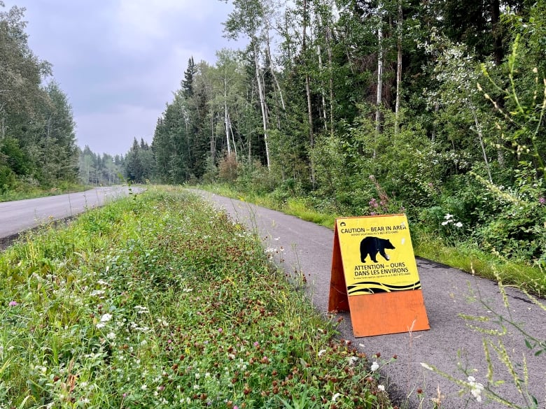 A caution sign with a silhouette of a bear on it is seen on a trail alongside a wooded area.