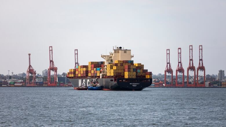 A large container ship stacked full of yellow, red and turquoise containers sits in a harbour, with red cranes on shore behind it.