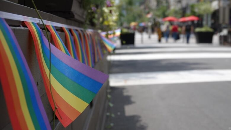 A row of Pride flags blows in the wind.