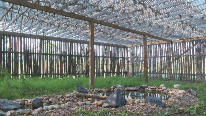 Fresh water flows into a pond in the Calgary Wildlife Rehabilitation Society's flight pen. The organization plans to stock to the pond with native fish. 