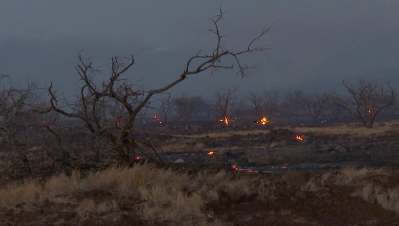 Flames from a wildfire burn in Kihei, Hawaii Wednesday.