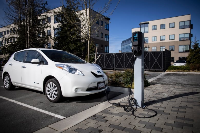 A white electric vehicle charges in a parking spot.