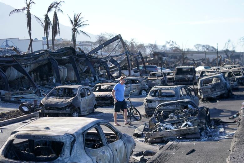 A man walks alone through the wreckage of a wildfire surrounded by burnt cars.