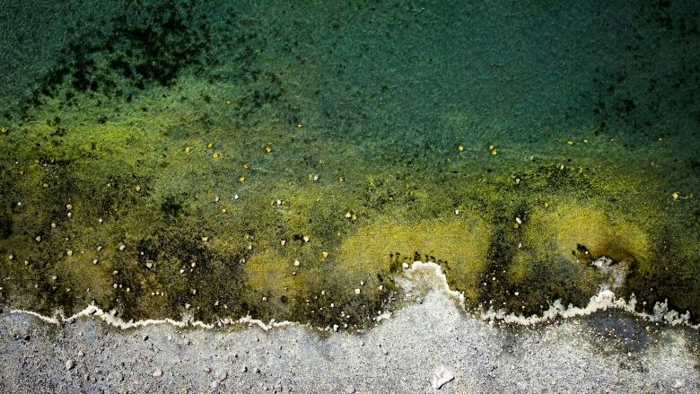 The Pacific Ocean in Boundary Bay in Surrey, British Columbia.