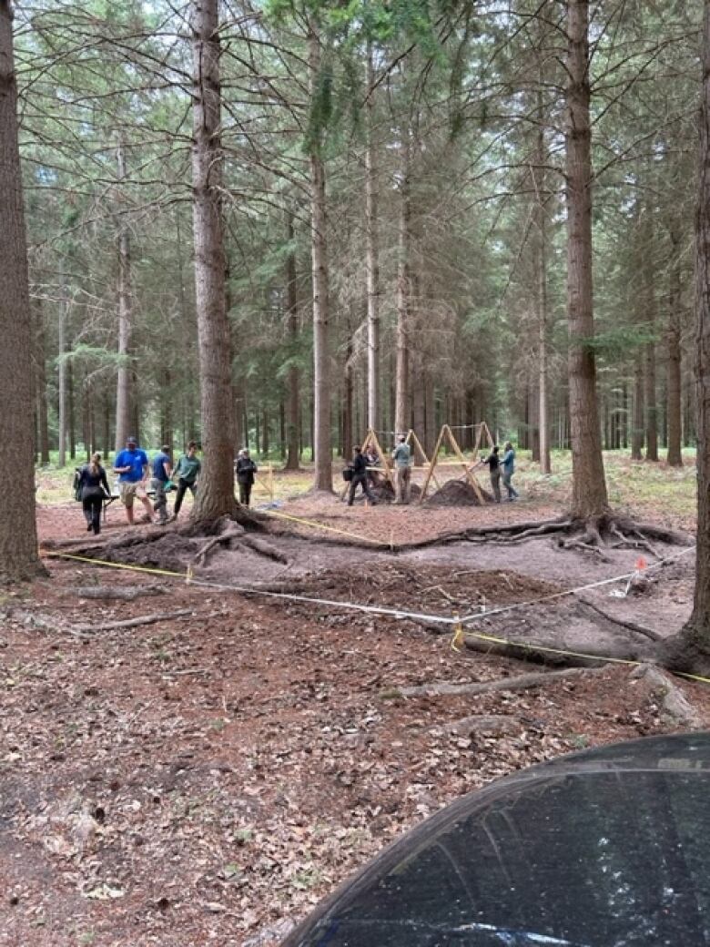 People are seen in the distance of a clearing in a wooded area.