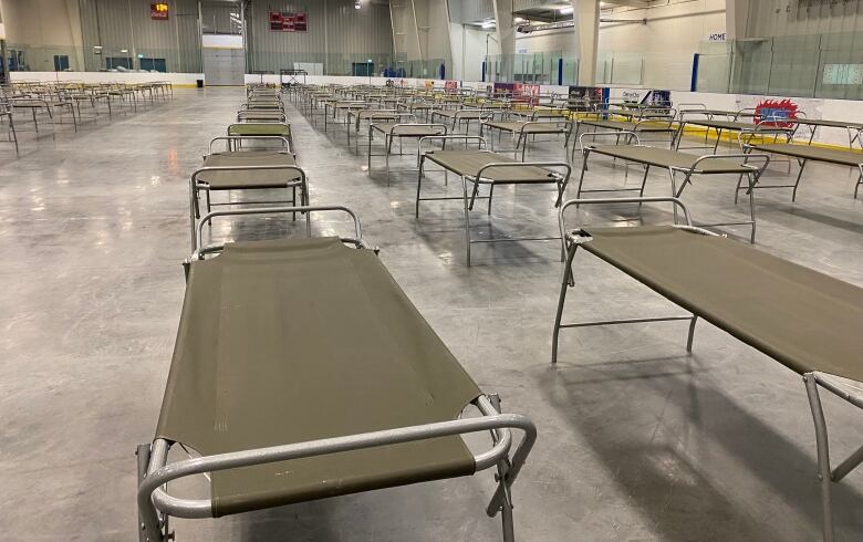 Cots in a row in an arena. 