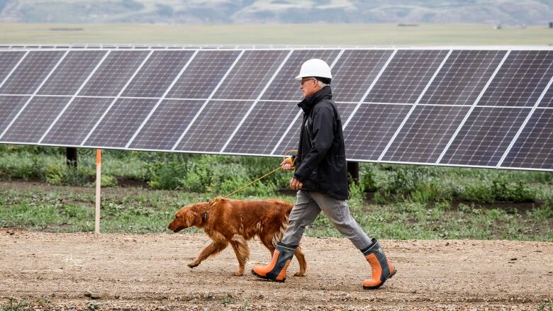 A man wearing rubber boots walks in front of solar panels along with a dog.