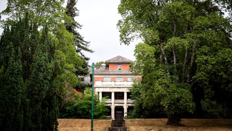 A red brick building is pictured behind large green trees. 