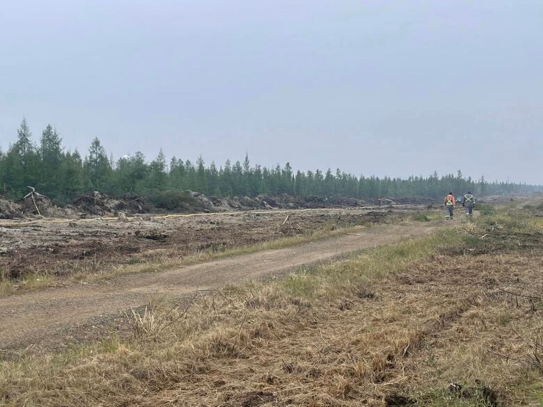 A field of fire brakes where two men are walking.