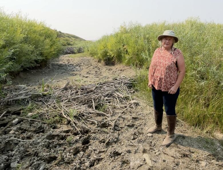 Heidi Eijgel is standing in the creek bed of Beaver Creek. Beside her are the remnants of a beaver dam. 