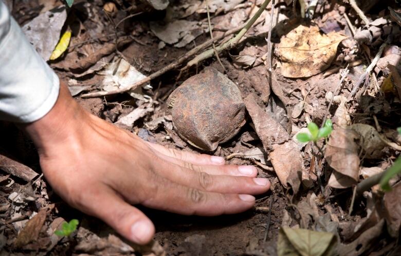 A man rests puts his hand beside a rusted metal ball surrounded by dead leaves on the ground. 