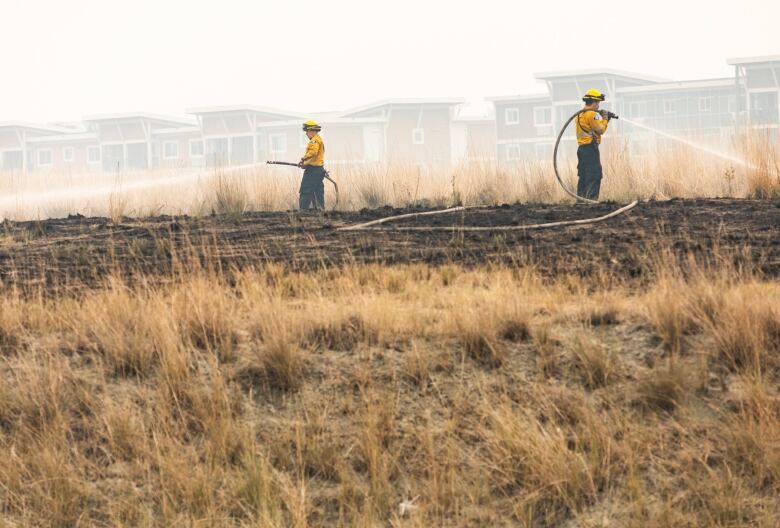 Two firefighter in yellow shirts spray water with hoses on a grassy area. Homes are visible in the background. The air is smoky.