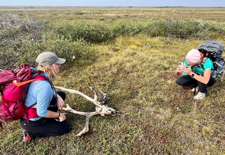 A woman kneels next to caribou antlers while another woman takes her photo.