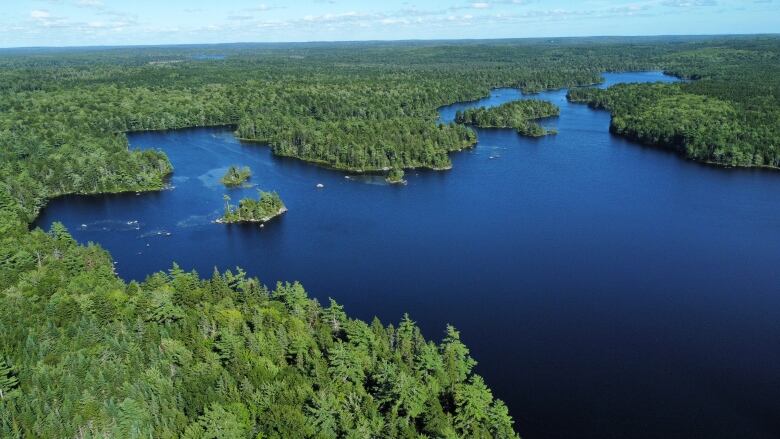 An aerial view of a large lake surrounded by green trees.