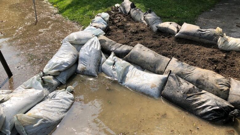 Sandbags with water on one side and land on the other.