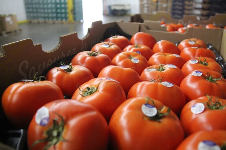 A flat of shiny red tomatoes.