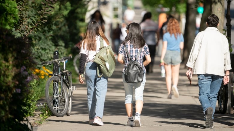 Students seen from the rear walk along a sunny city street.