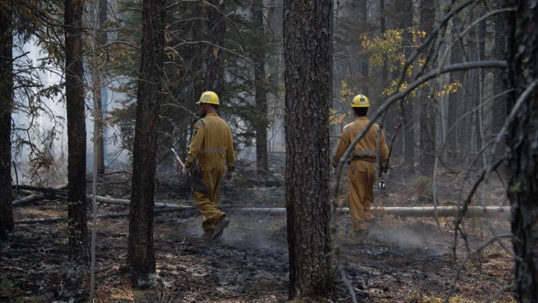 Two people in firefighting outfits move through a smoking forest.