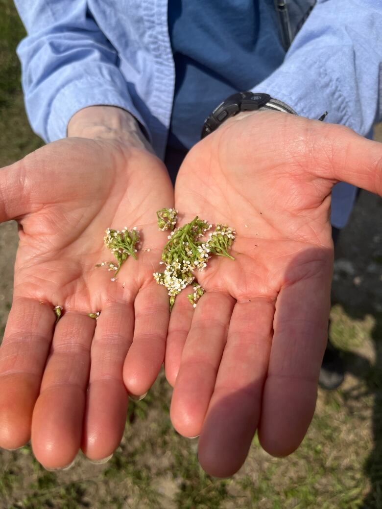 Flowers in hand