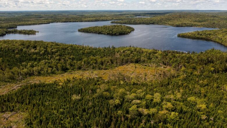 An aerial photo of a forest and a lake with a small wooded island in it. 