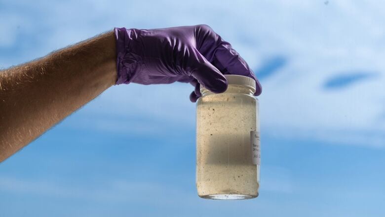 A hand with a purple glove holding a jar of dirty water to the light against a blue sky