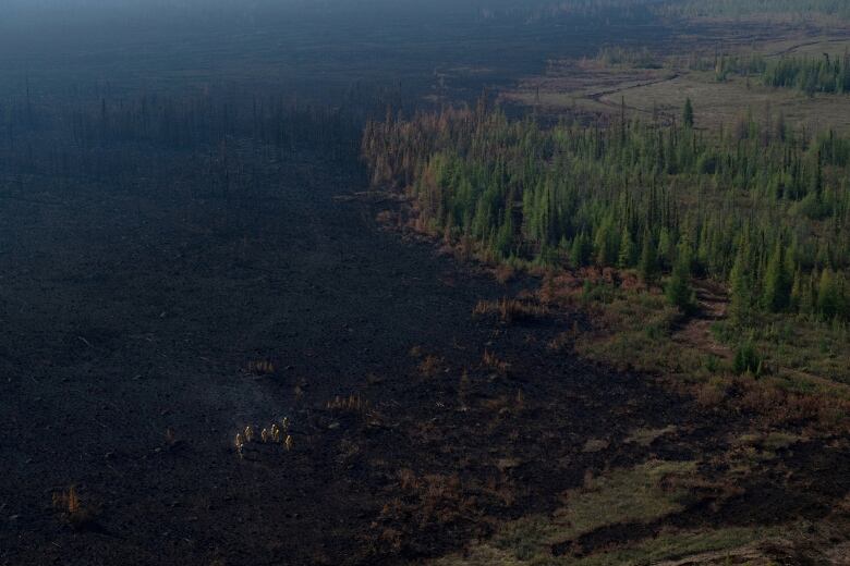 Firefighters are seen working on burnt soil in this aerial view.