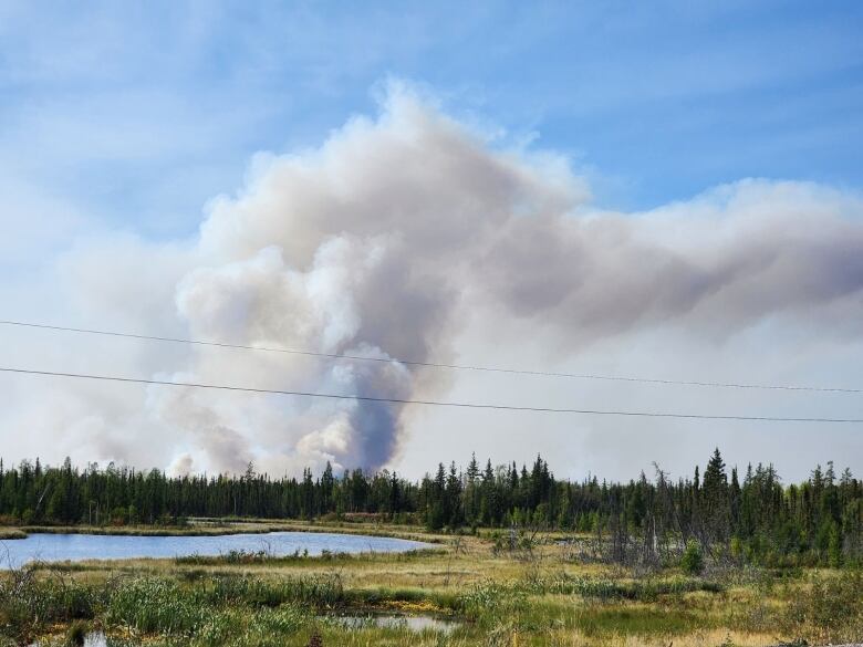 Smoke from a wildfire is seen in the distance, beyond a forest and pond.