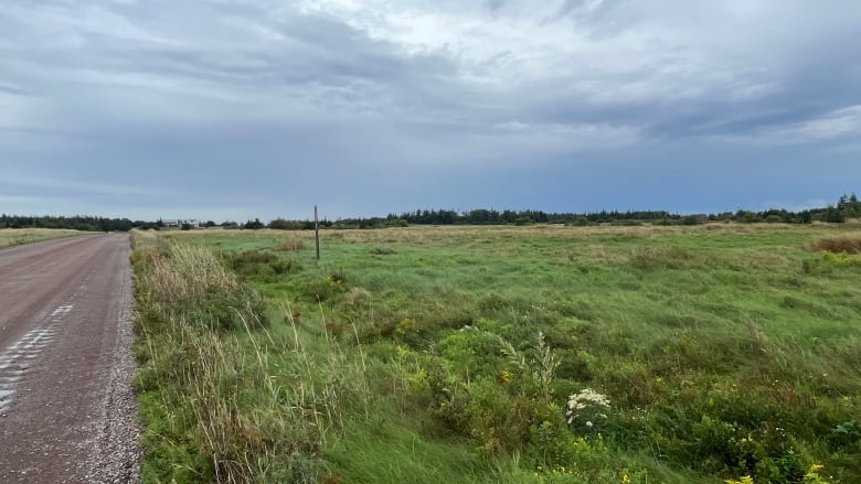 The planned subdivision can be seen at left, next to the road that leads to the sand dunes and beach at Greenwich.