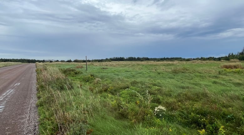 The planned subdivision can be seen at left, next to the road that leads to the sand dunes and beach at Greenwich.