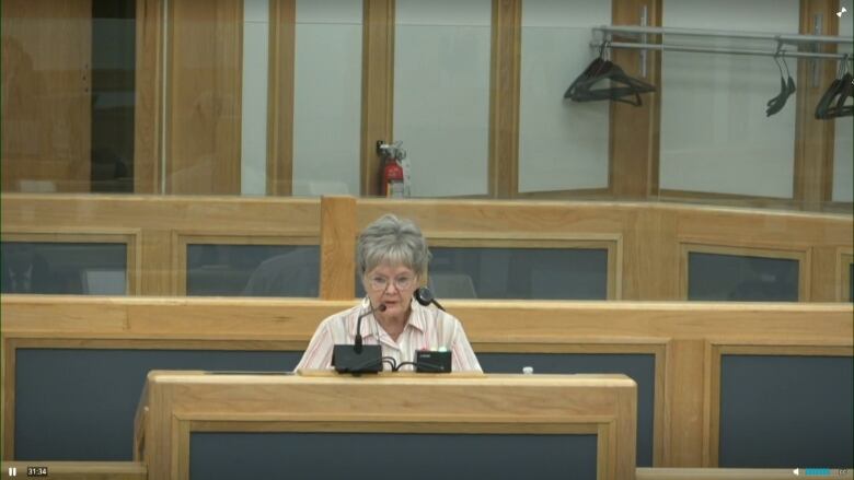 A stream screen shot of Marjaleena Repo speaking at council in saskatoon