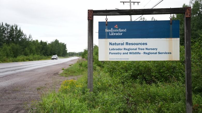 A sign along a road reads 'natural resources, labrador regional tree nursery, forestry and wildlife, regional services.' 