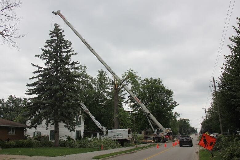 Crews work on trees in Harrow, Ont., following a summertime storm in 2023.