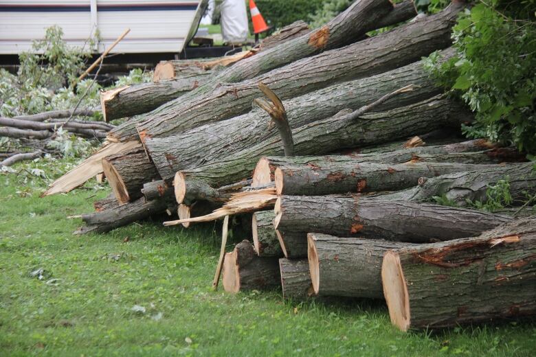 Tree trunks, branches and limbs on the ground after being pulled down in an Essex County summertime storm, then cut up.