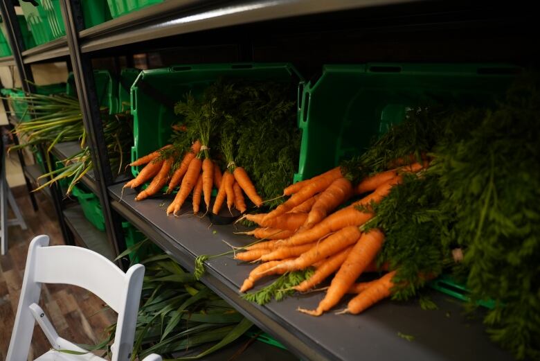 A collection of fresh carrots are displayed on a shelf.