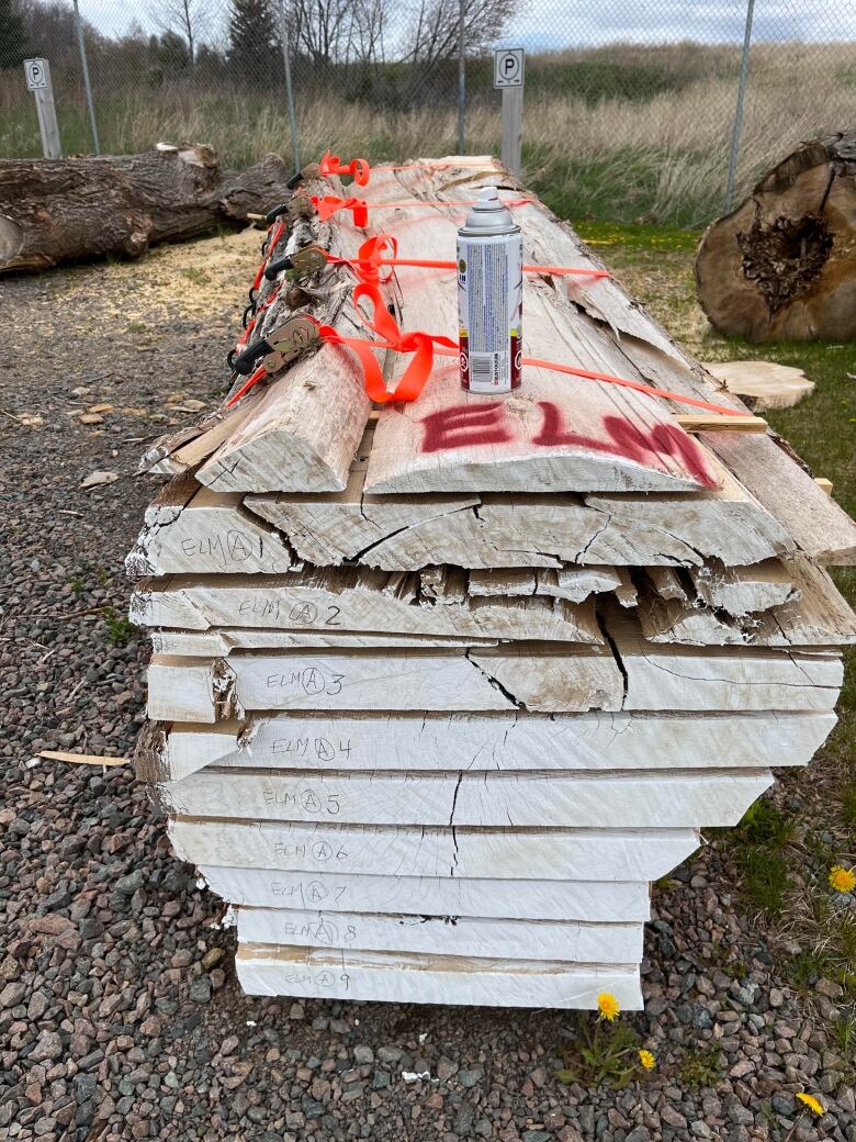 A tree trunk sliced into slabs 