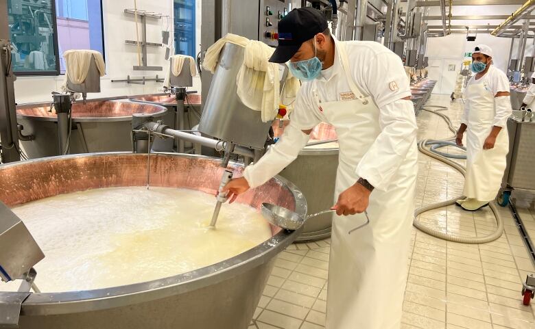 A man wearing a white outfit, including an apron, and a black cap stirs a large vat in the cheese-making process.