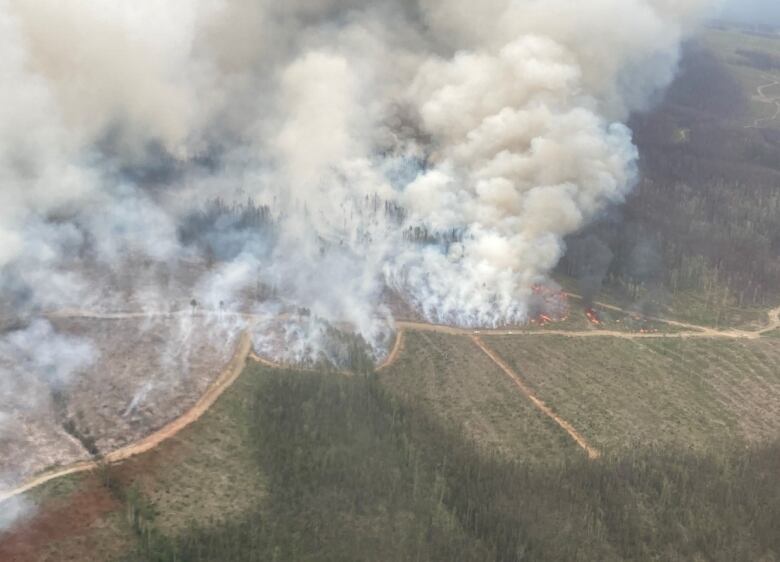 Smoke rises from a fire on grassland.