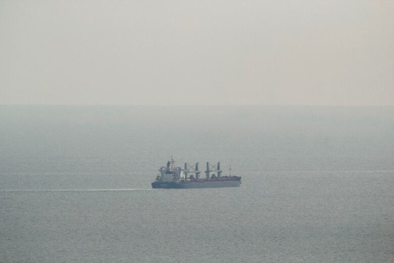 A cargo ship is seen travelling on a placid sea amid fog.