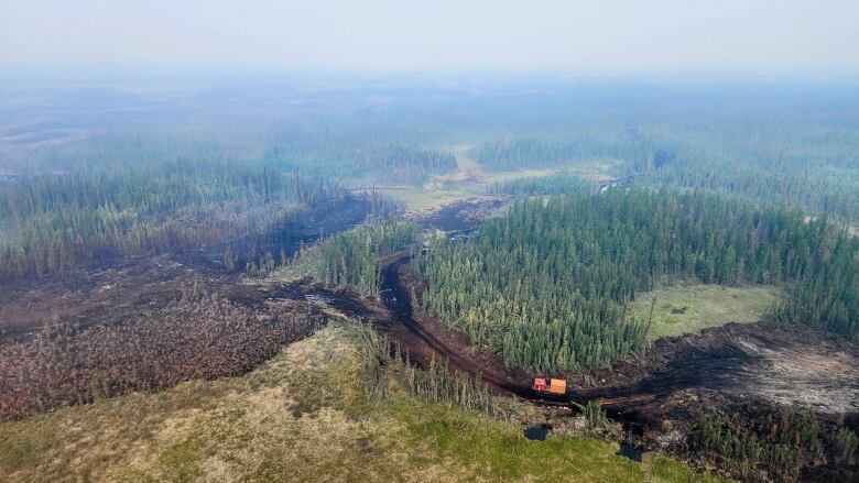 A fire guard through a burned forest.