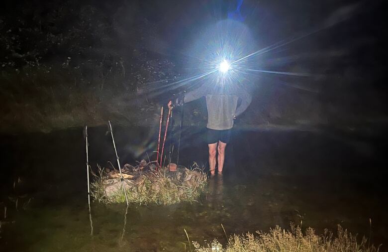 A photo taken at night of a flooded grassy area, where a person stands in ankle-high water, shining a light from their cell phone towards the camera to light up the flooded area.