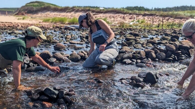 People placing rocks to create a deeper stream on a beach 