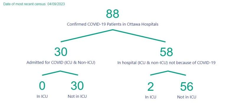 A chart showing the number of people in Ottawa hospitals with COVID.