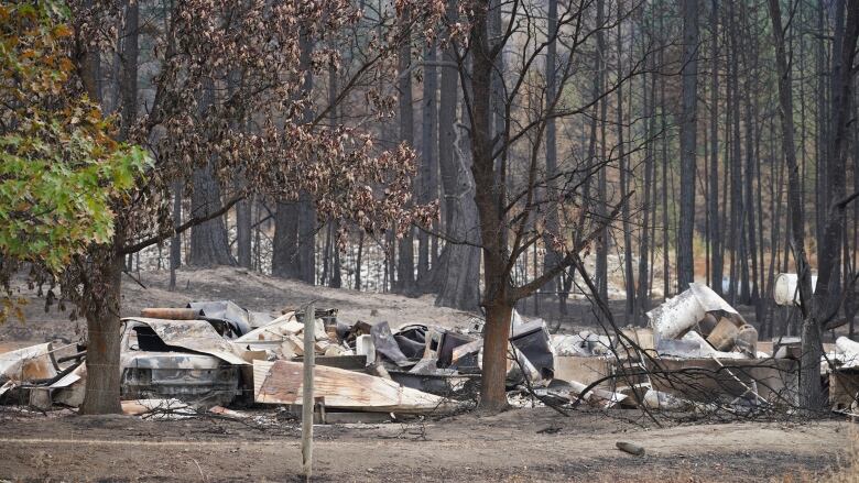 A charred landscape with debris and burned trees.